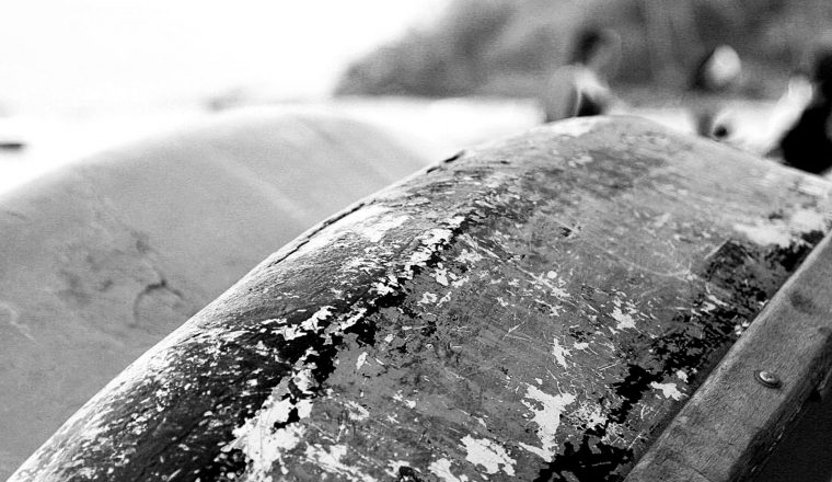 Boat Barco Texture